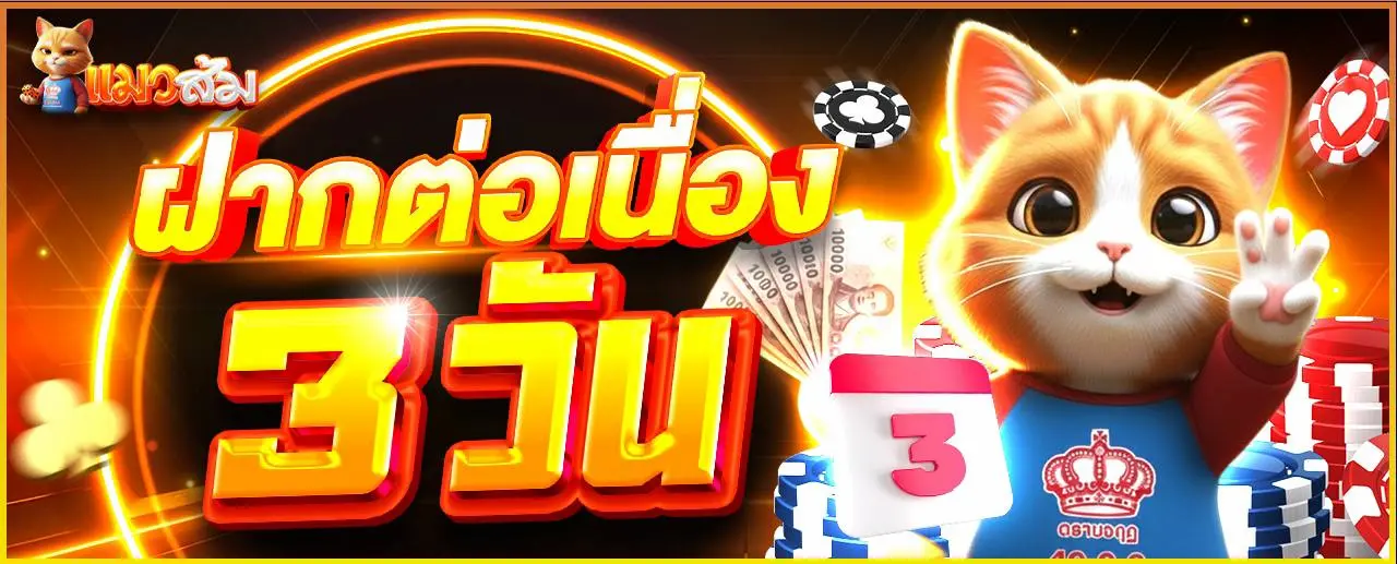 โปรฝากต่อเนื่อง 3 วัน ที่ CATSOM