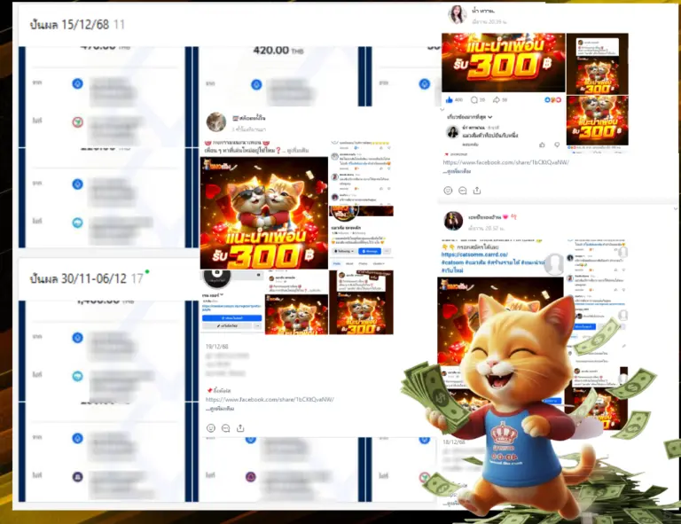 สร้างรายได้กับแมวส้ม