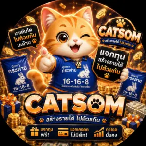 แนะนำแพลตฟอร์ม CATSOM
